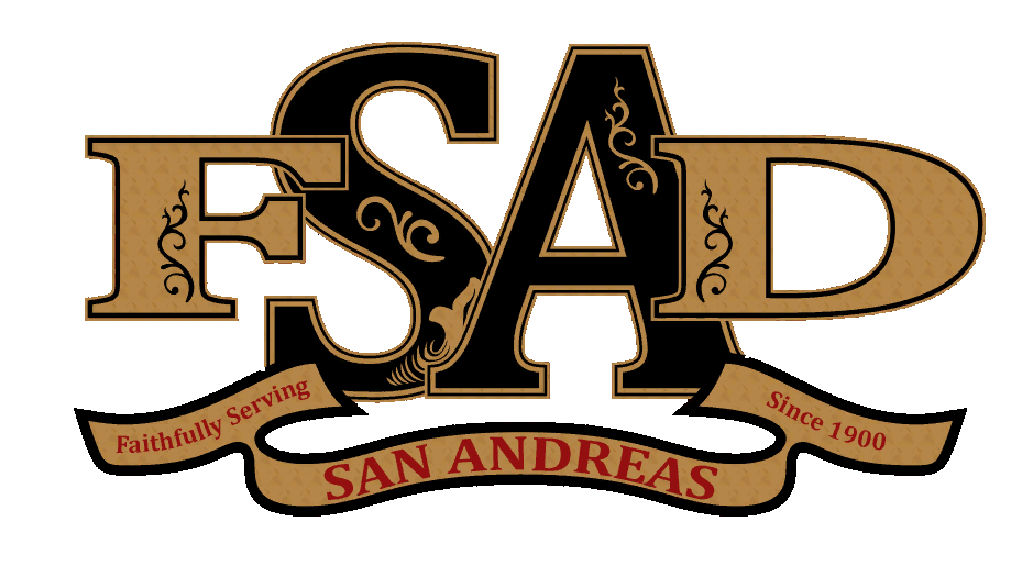 SAFR logo